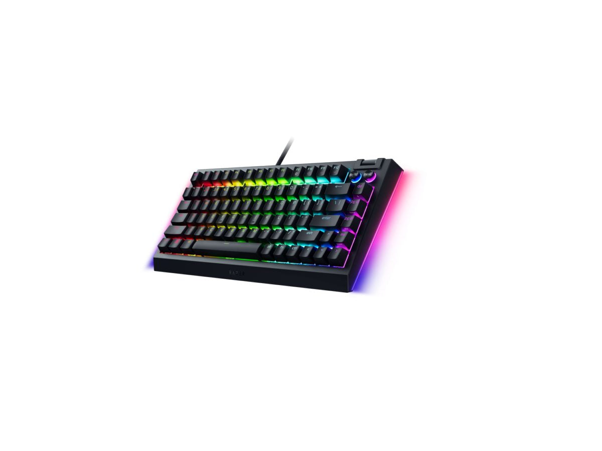 Razer BLACKWIDOW V4 75% - Mechanical RGB Gaming Keyboard - Hot-Swappable - Orange Tactile Switches