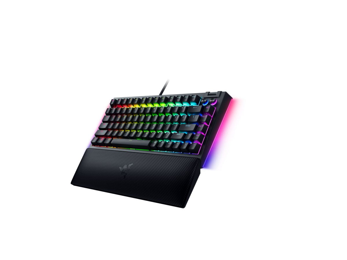 Razer BLACKWIDOW V4 75% - Mechanical RGB Gaming Keyboard - Hot-Swappable - Orange Tactile Switches