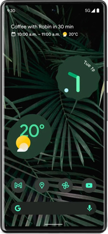 Google Pixel 6 Pro 12GB 128GB Black 5G