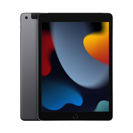 Apple iPad 10.2 9th Gen 3GB 64GB Grey 4G